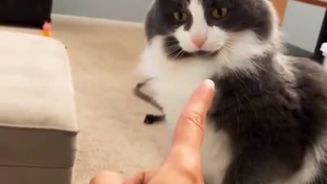 That's rude!