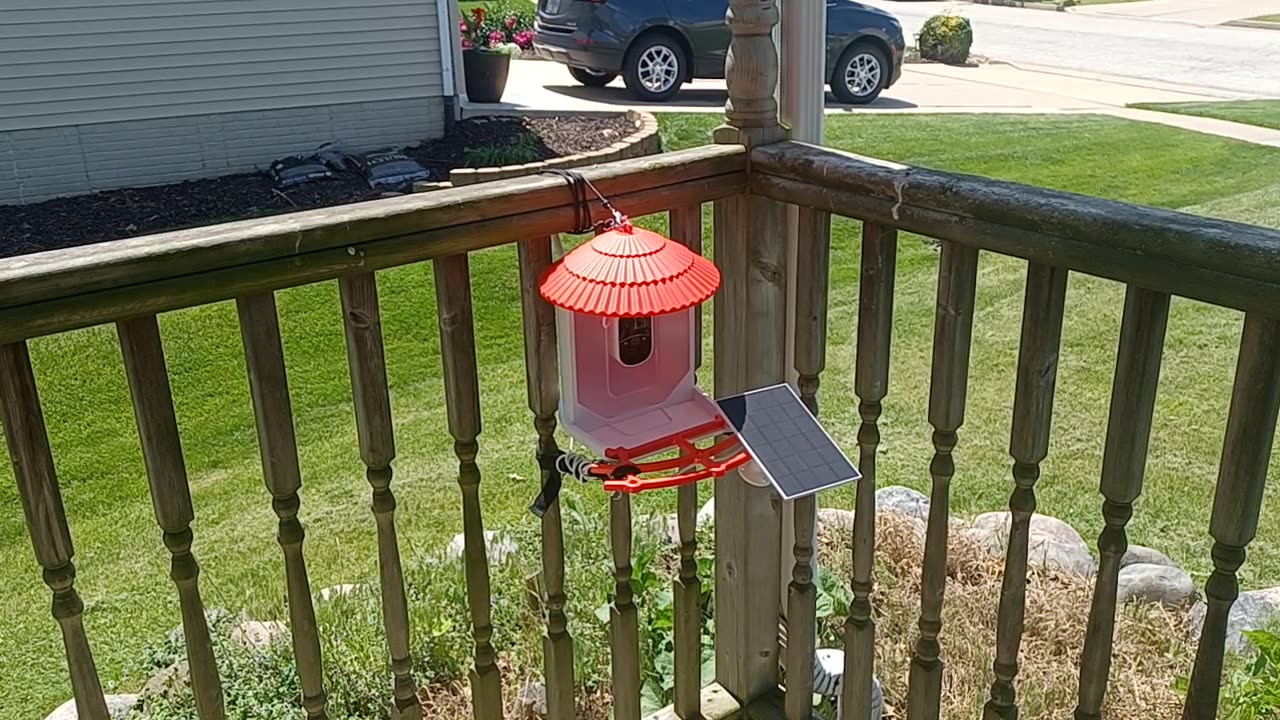 The Best SIM Card for My Outdoor Bird Feeder Camera