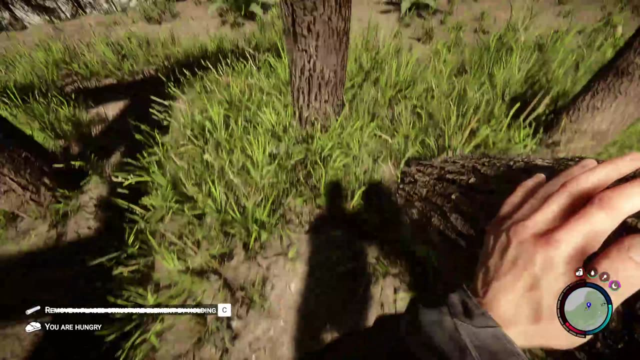 Let's play Sons of the Forest 1.0 Launch
