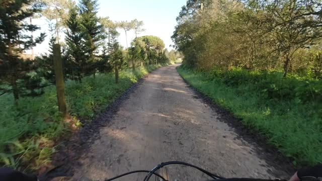 Reflections on Loss While Riding to São Martinho do Porto