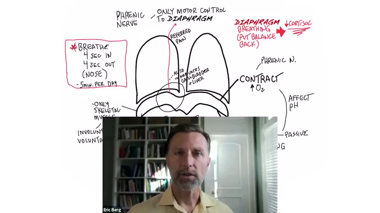 DrBerg-Change Your Breathing, Change Your Cortisol