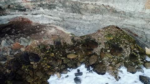 Life on the edge - Australian sea lions