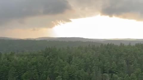 Enjoy Life How You Can