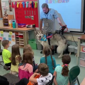 Kids Sing 'Happy Birthday' To School's Therapy Dog