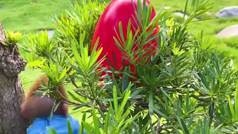 Monkey Baby Bon Bon opens surprise eggs with puppy in the garden and brushes teeth in the toilet