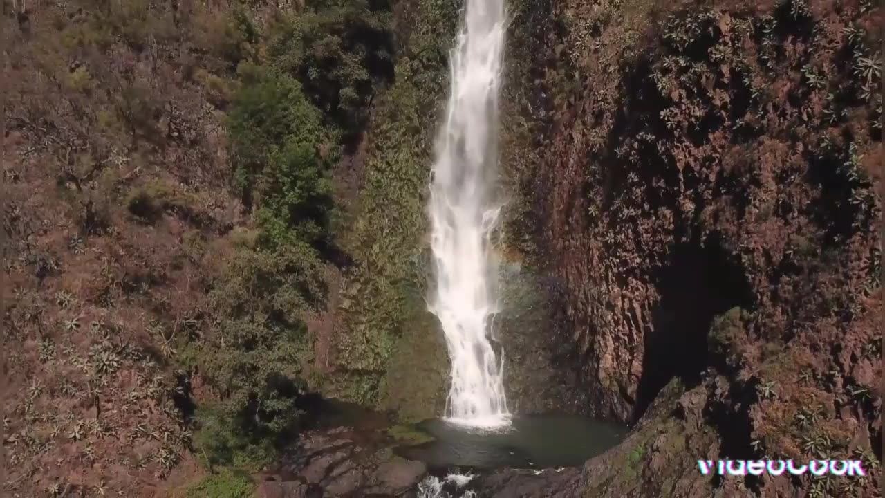 Another beauty