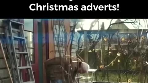 Must watch to the end