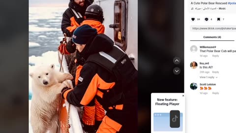 FRIDAY FUN - POLAR BEAR CUB IN OPEN WATER RESCUED BY FISHING BOAT