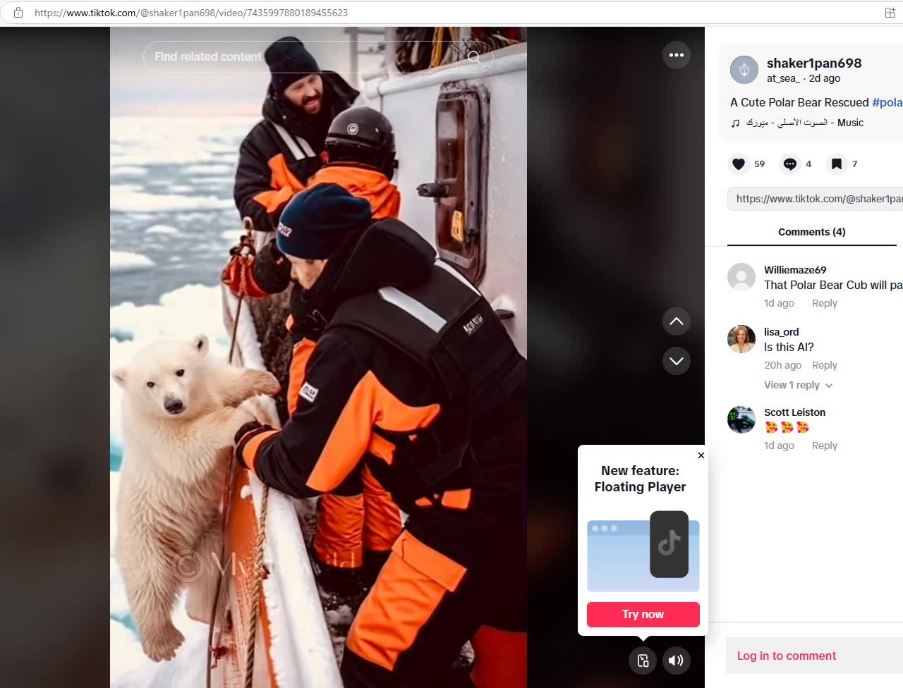 FRIDAY FUN - POLAR BEAR CUB IN OPEN WATER RESCUED BY FISHING BOAT