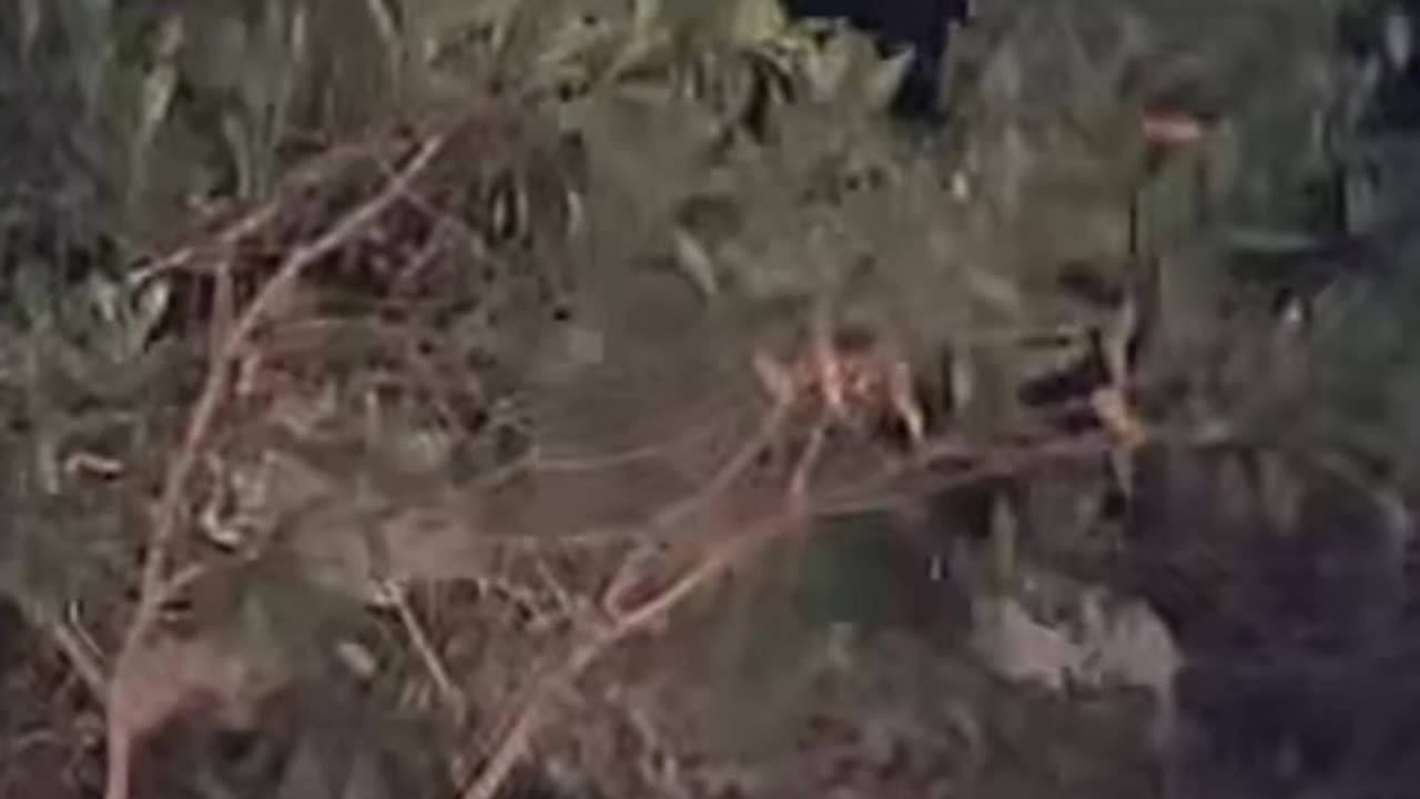 Ghost on camera paranormal activity part 122