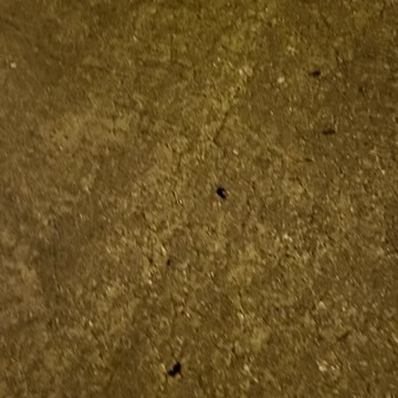 HERE'S TO GLOBAL WARMING!!!