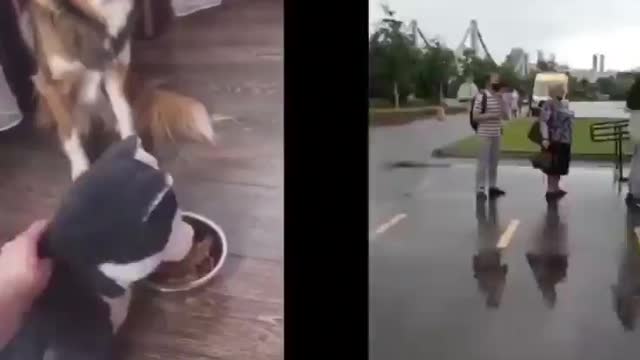 Not Sure Whether To Laugh Or Cry...