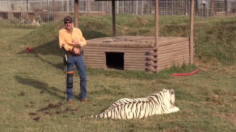 Joe Exotic Presidential Video #23