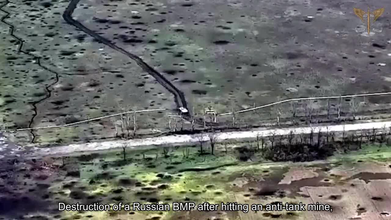 The destruction of a Russian BMP after hitting an anti-tank mine laid by paratroopers of the 79th A