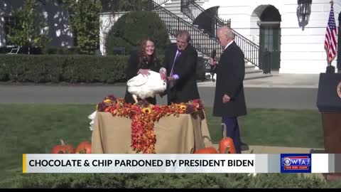 Biden opens holidays, pardons turkeys Chocolate and Chip