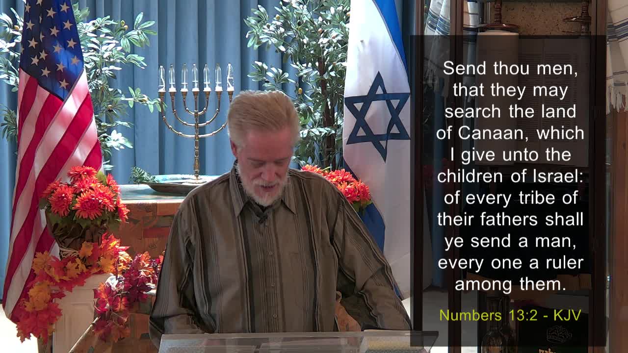 11-16-2022 NEVER FEAR-Hearing God's Report