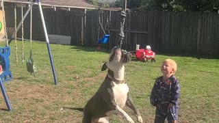 Dog Swings Guy on a Rope