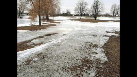 Centennial Park - Winter