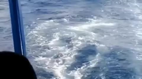 Very terrible waves