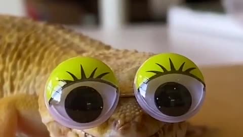 👀