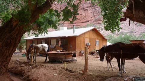 The Native Indians Village Supai, The American Indian Tribes of Arizona