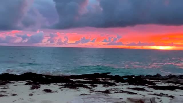 Amazing View in the Beach