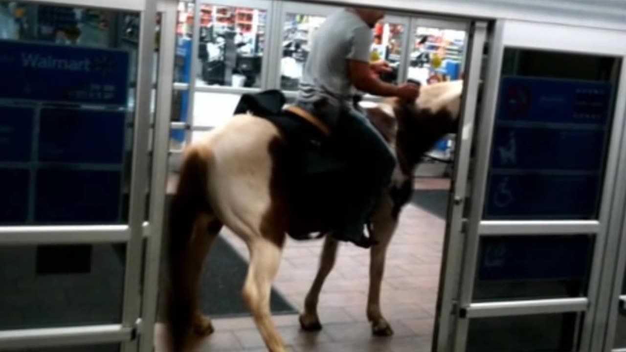 Walmartians - People of Walmart - Version 13