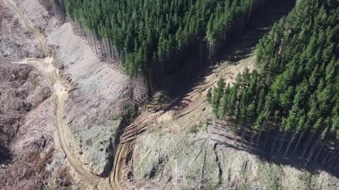 DRONE LOGGING