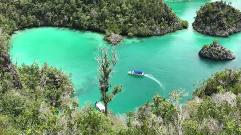 Dream destinantion at raja ampat indonesia