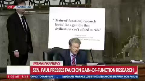 Watching rat Fauci Squirm yesterday while Rand Paul