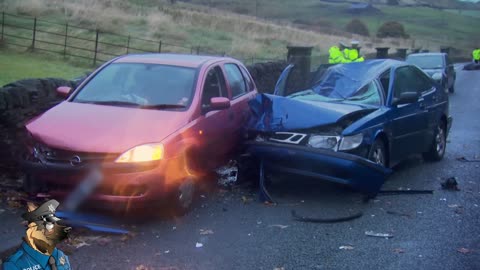 Highway Horror: Speeding Driver Collides with Horse on the Motorway