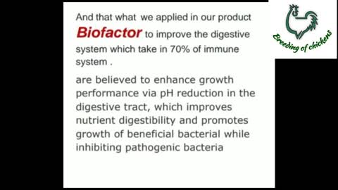 prebiotics, probiotics, synbiotics and phytobiotics in raising poultry farm 🐔🐓 Organic chicken 💫