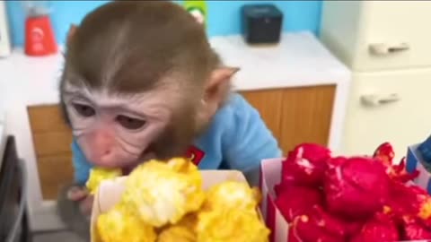 Monkey Baby Bon Bon oes to the toilet and plays part2
