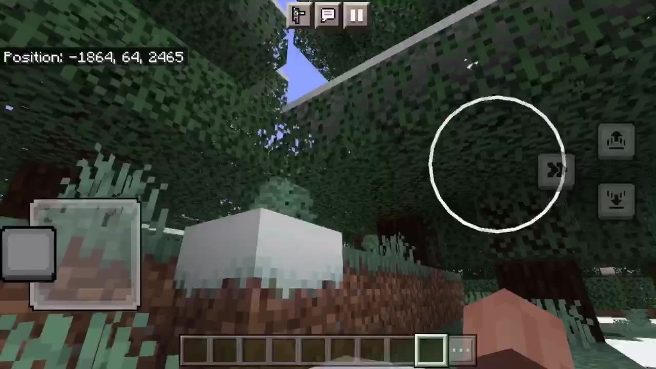 Top 5 Minecraft Wood Types
