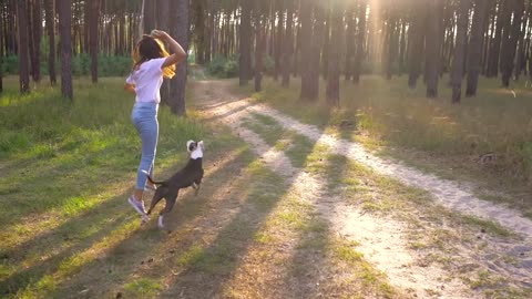 Puppy playing with a girl.puppy enjoying the sunset