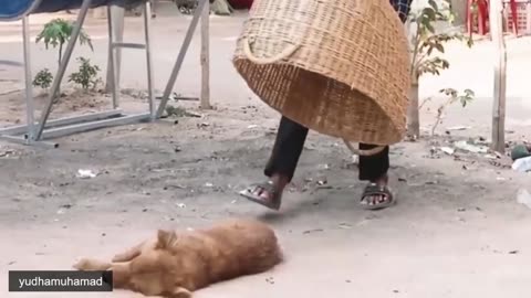 YUDHAMUHAMAD fake Lion and Fake Tiger Prank #3