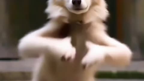 Smart dog