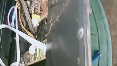 Ants Takeover the Inside of a TV