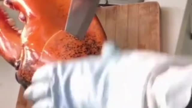 Have a big lobster claw