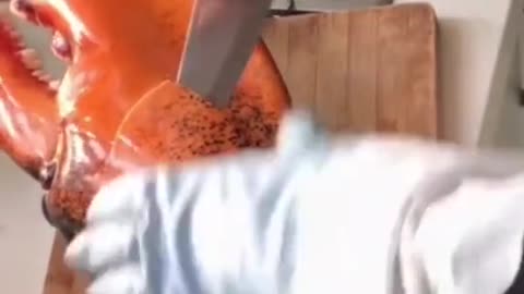 Have a big lobster claw