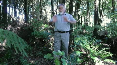 Mysteries of New Zealand_ Thylacoline Zealandus