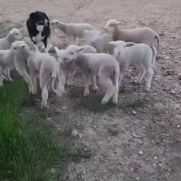 Running into your boss while leaving on Friday