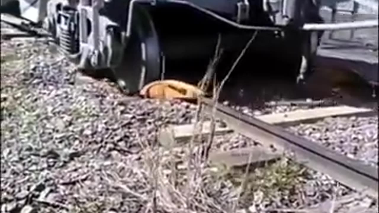 WOW TRAIN