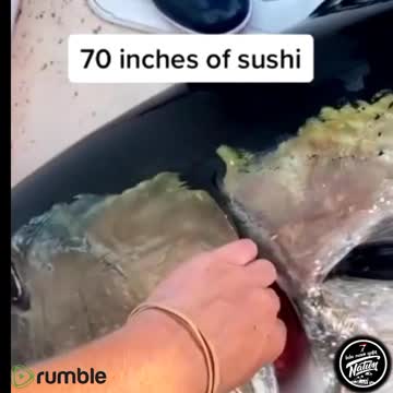 Finally got this 💪💪💪 Blue fin Tuna.