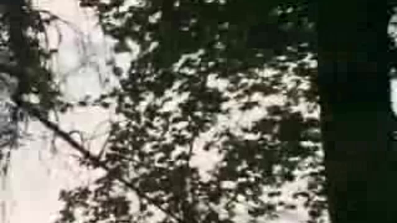 Blind Faith - Can't Find My Way Home = Performing Live Hyde Park London 1969 (69016)