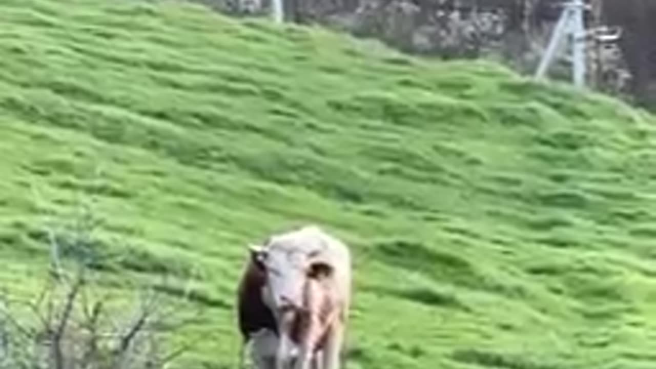 Reportaj din Raiul terestru (2)