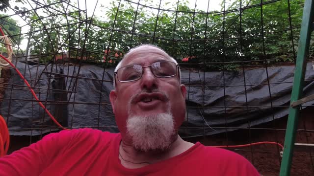 YOU ARE BEING LIED TO Part 1