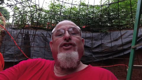 YOU ARE BEING LIED TO Part 1