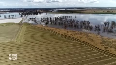 Forbes residents furious as flood water refuse to budge _ 9 News Australia