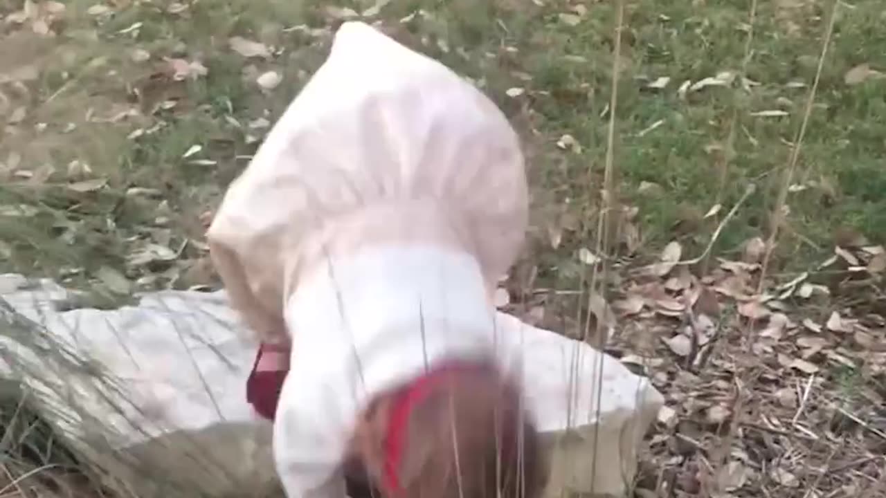 Funny Babies